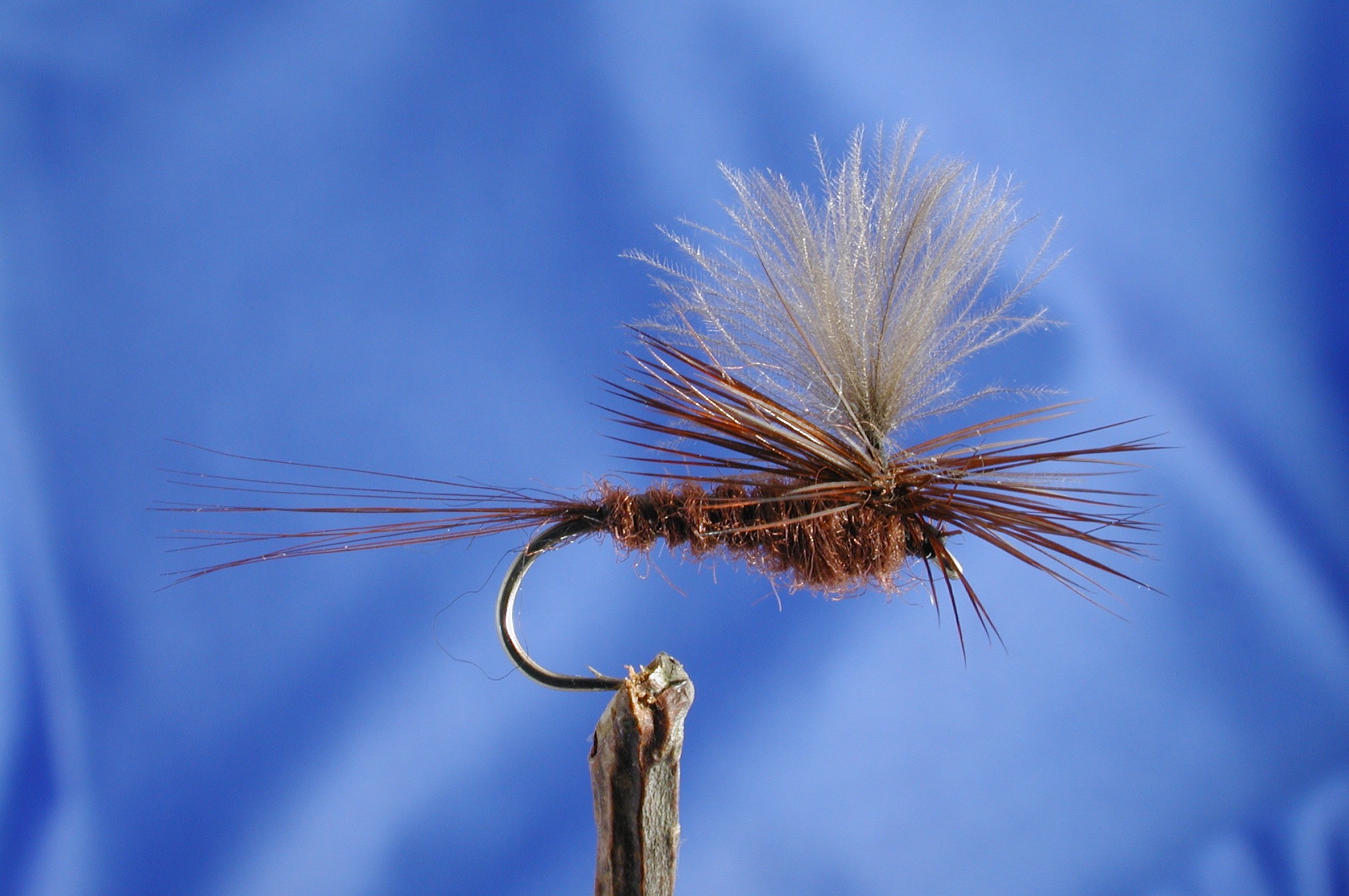 CDC Para Dun Fly Fishing Flies with Fish4Flies Worldwide